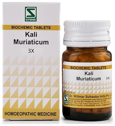 Dr Willmar Schwabe India Kali Muriaticum Biochemic Tablet 3X